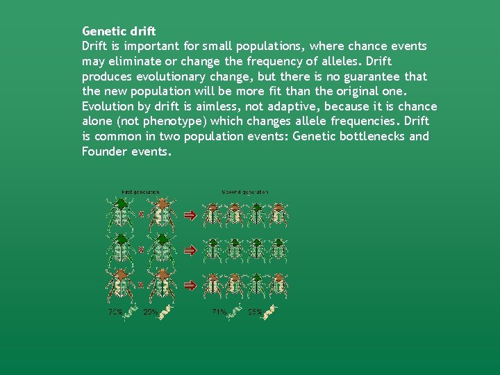 Genetic drift Drift is important for small populations, where chance events may eliminate or