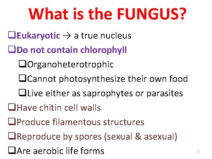 What is the FUNGUS? q. Eukaryotic → a true nucleus q. Do not contain