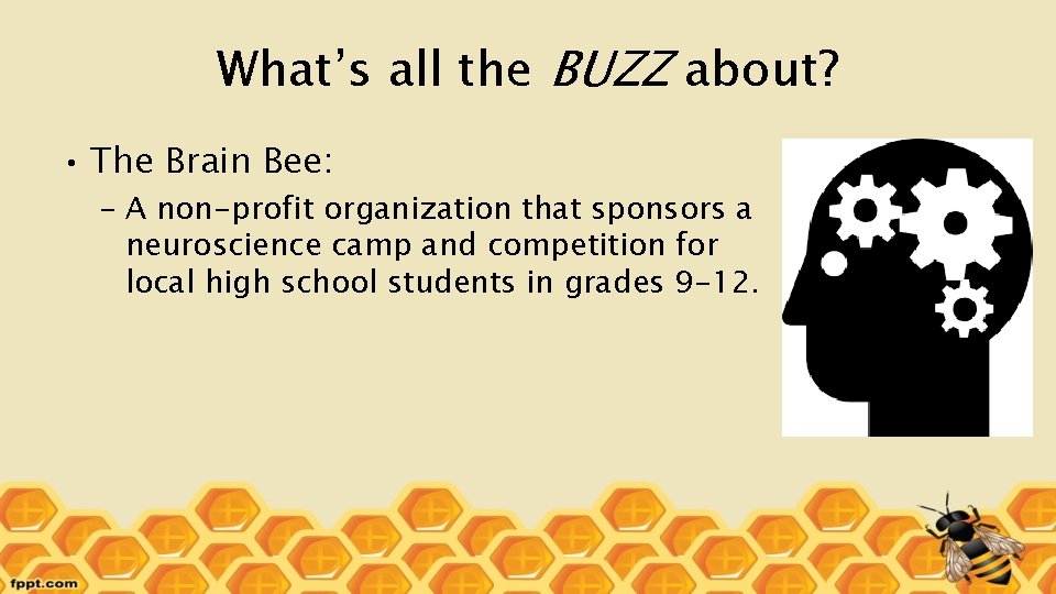 What’s all the BUZZ about? • The Brain Bee: – A non-profit organization that