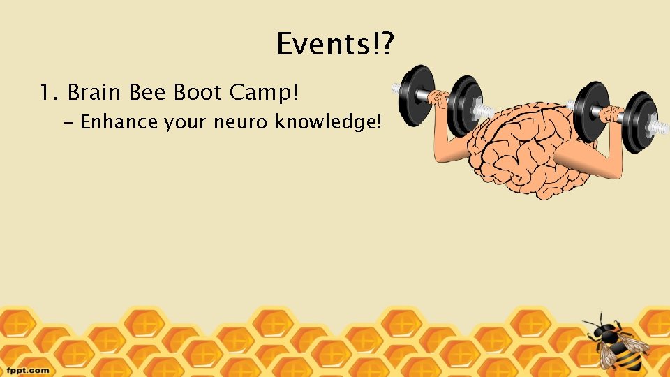 Events!? 1. Brain Bee Boot Camp! – Enhance your neuro knowledge! 
