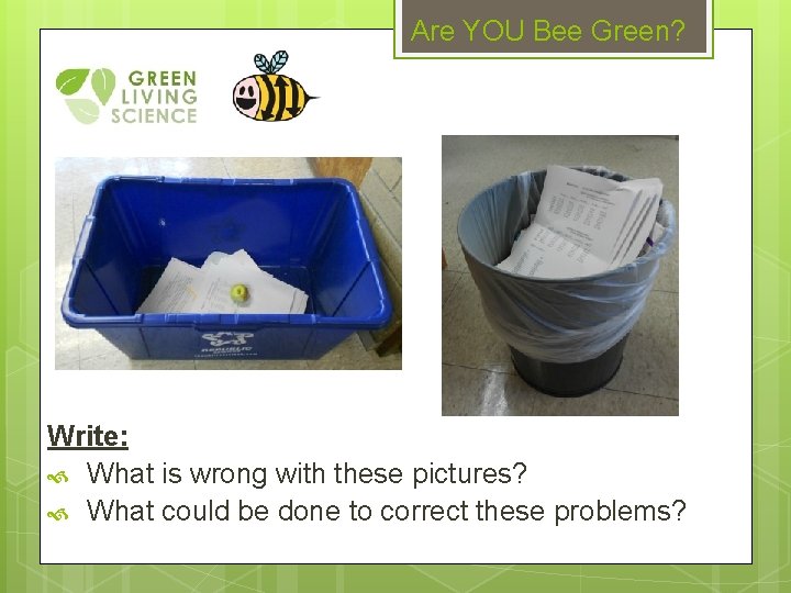 Are YOU Bee Green? Write: What is wrong with these pictures? What could be