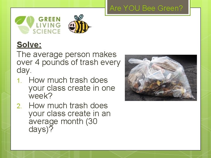 Are YOU Bee Green? Solve: The average person makes over 4 pounds of trash