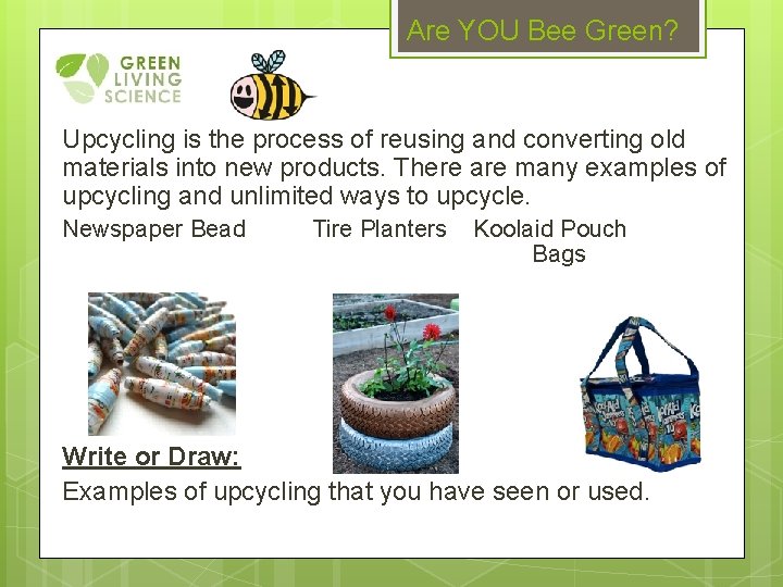 Are YOU Bee Green? Upcycling is the process of reusing and converting old materials