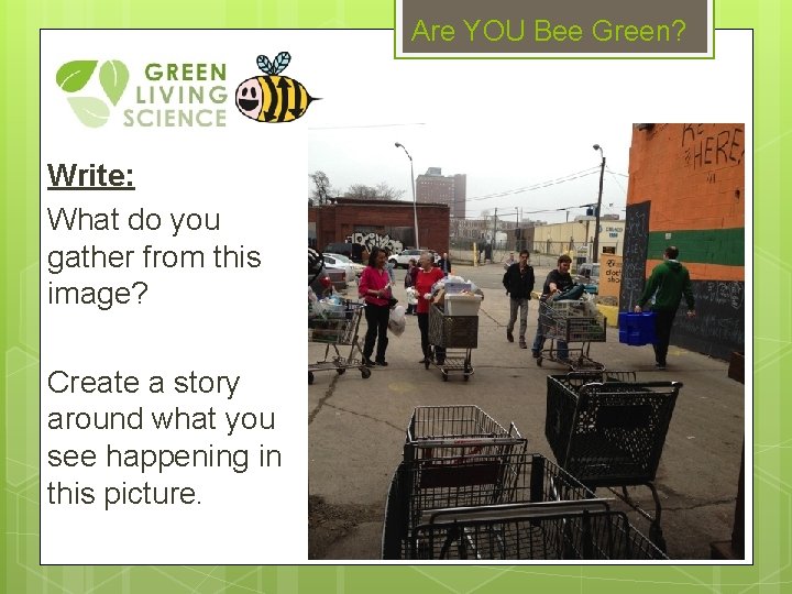 Are YOU Bee Green? Write: What do you gather from this image? Create a