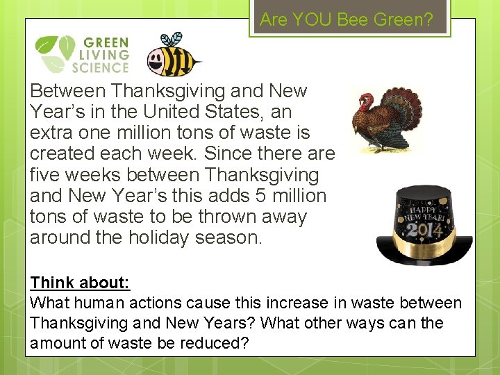 Are YOU Bee Green? Between Thanksgiving and New Year’s in the United States, an