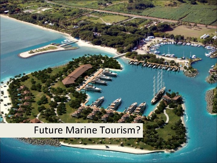 Future Marine Tourism? 