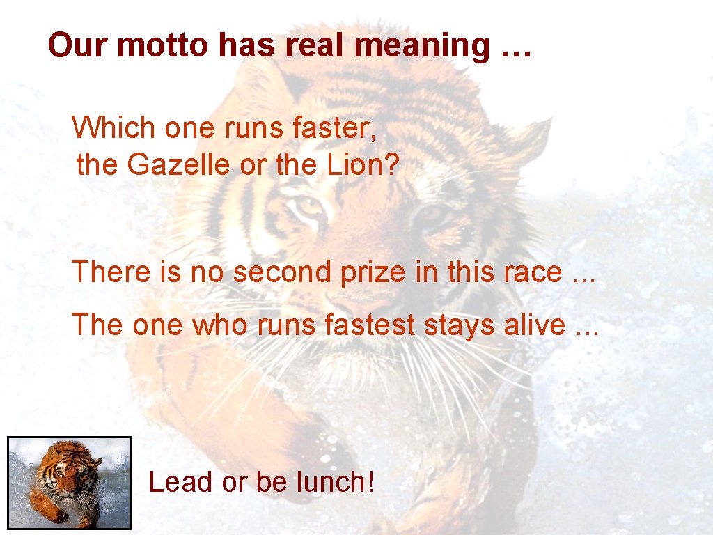 Our motto has real meaning … Which one runs faster, the Gazelle or the