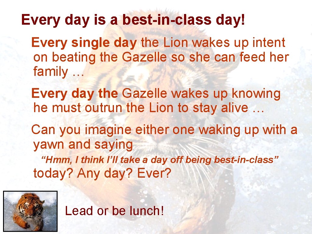 Every day is a best-in-class day! Every single day the Lion wakes up intent