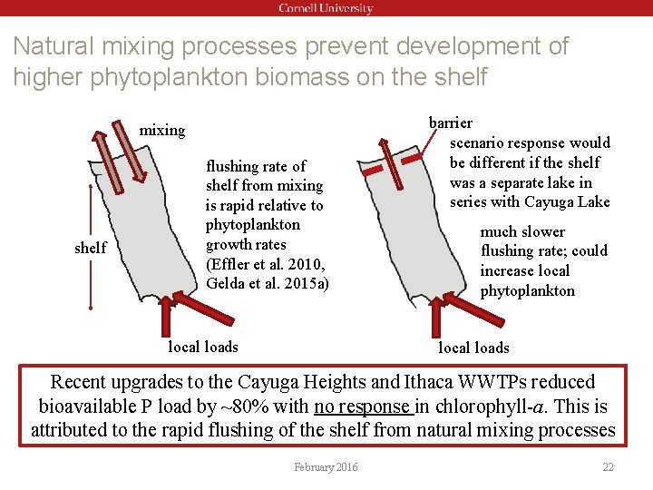 Natural mixing processes prevent development of higher phytoplankton biomass on the shelf mixing shelf