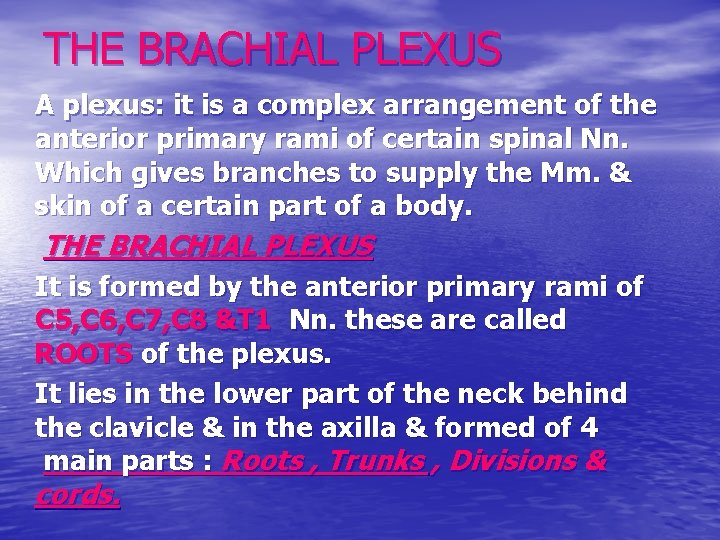 THE BRACHIAL PLEXUS A plexus: it is a complex arrangement of the anterior primary