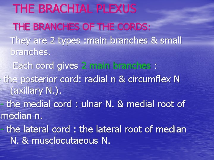 THE BRACHIAL PLEXUS THE BRANCHES OF THE CORDS: They are 2 types : main