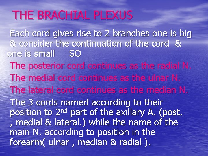 THE BRACHIAL PLEXUS Each cord gives rise to 2 branches one is big &