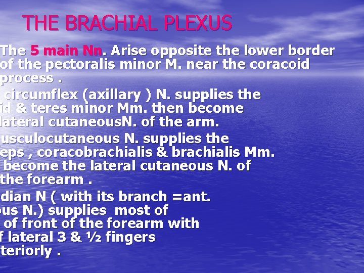 THE BRACHIAL PLEXUS The 5 main Nn. Arise opposite the lower border of the