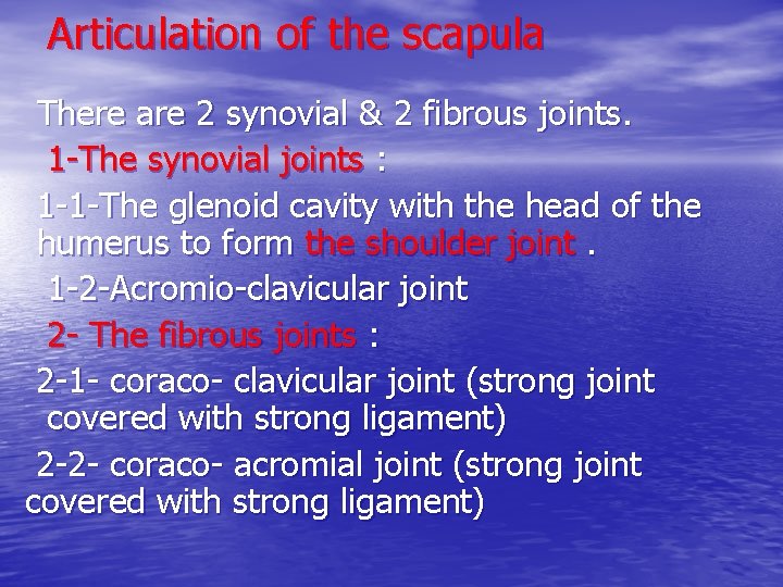 Articulation of the scapula There are 2 synovial & 2 fibrous joints. 1 -The