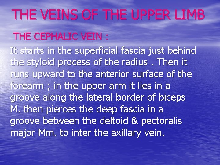 THE VEINS OF THE UPPER LIMB THE CEPHALIC VEIN : It starts in the