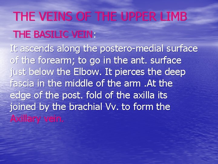 THE VEINS OF THE UPPER LIMB THE BASILIC VEIN: It ascends along the postero-medial
