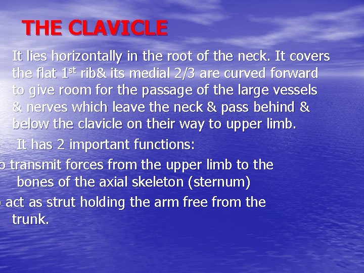 THE CLAVICLE It lies horizontally in the root of the neck. It covers the