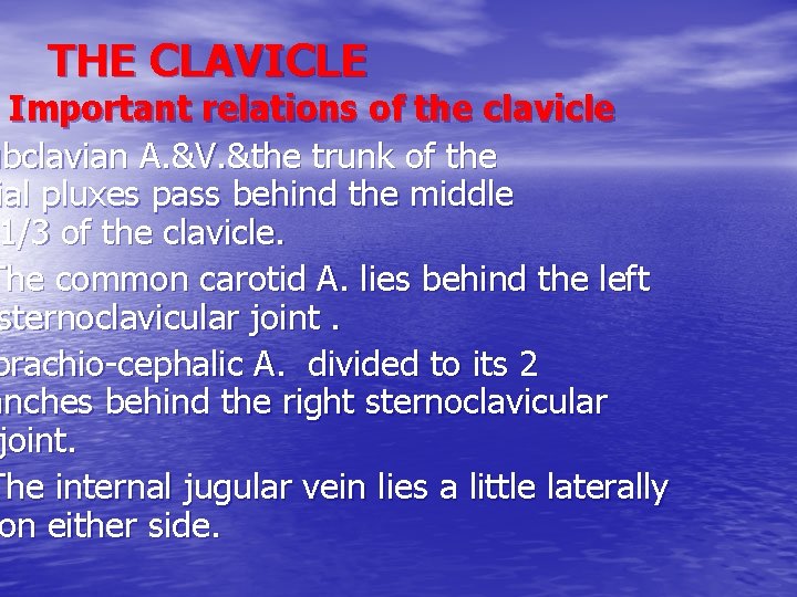 THE CLAVICLE Important relations of the clavicle ubclavian A. &V. &the trunk of the