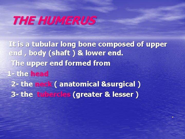 THE HUMERUS It is a tubular long bone composed of upper end , body