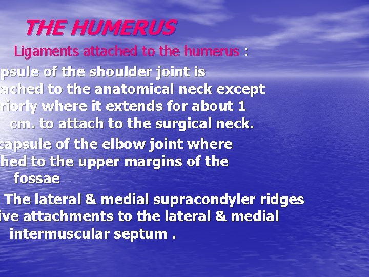 THE HUMERUS Ligaments attached to the humerus : apsule of the shoulder joint is