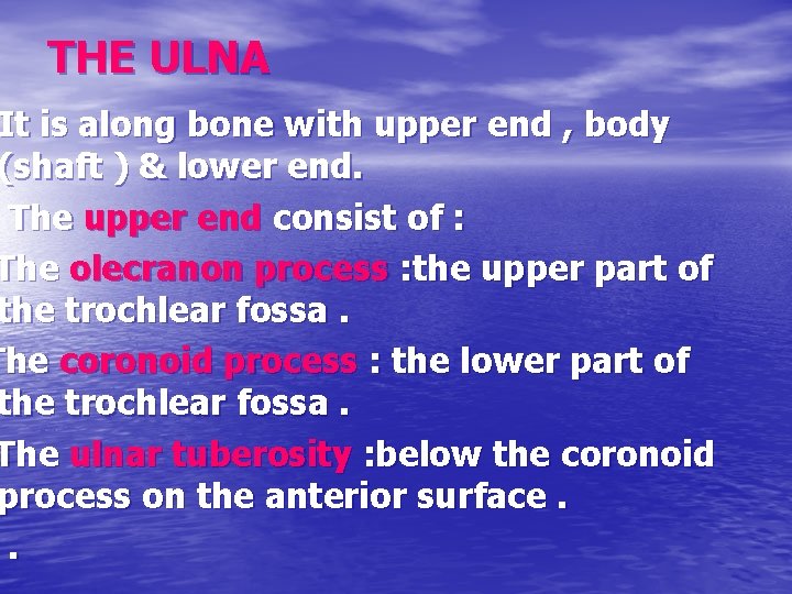 THE ULNA It is along bone with upper end , body (shaft ) &