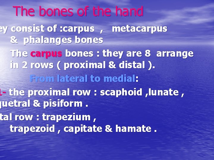 The bones of the hand ey consist of : carpus , metacarpus & phalanges