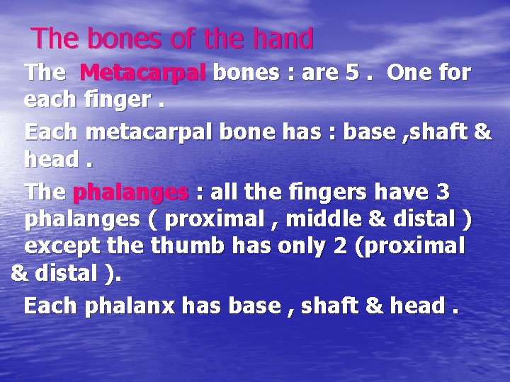 The bones of the hand The Metacarpal bones : are 5. One for each