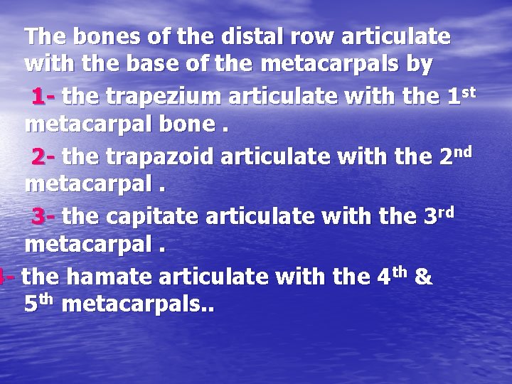 The bones of the distal row articulate with the base of the metacarpals by