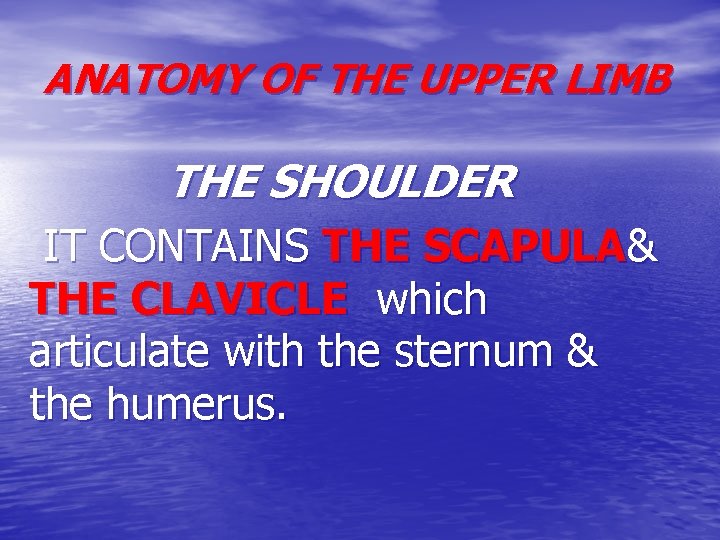 ANATOMY OF THE UPPER LIMB THE SHOULDER IT CONTAINS THE SCAPULA& THE CLAVICLE which