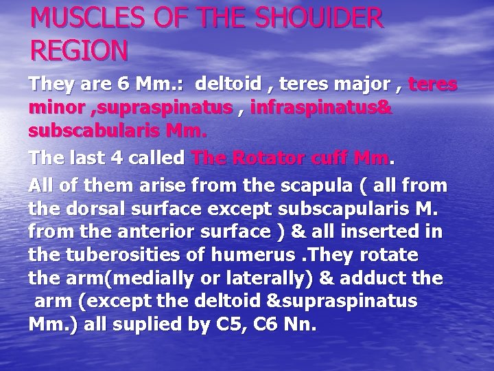 MUSCLES OF THE SHOUl. DER REGION They are 6 Mm. : deltoid , teres