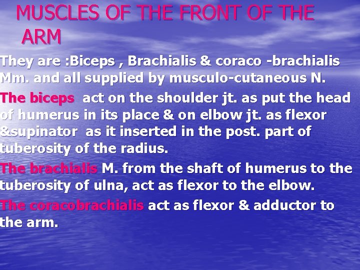 MUSCLES OF THE FRONT OF THE ARM They are : Biceps , Brachialis &