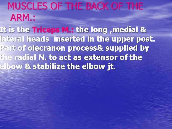 MUSCLES OF THE BACK OF THE ARM. : It is the Triceps M. :