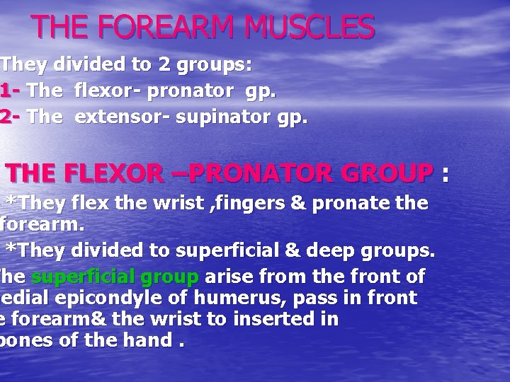 THE FOREARM MUSCLES They divided to 2 groups: 1 - The flexor- pronator gp.