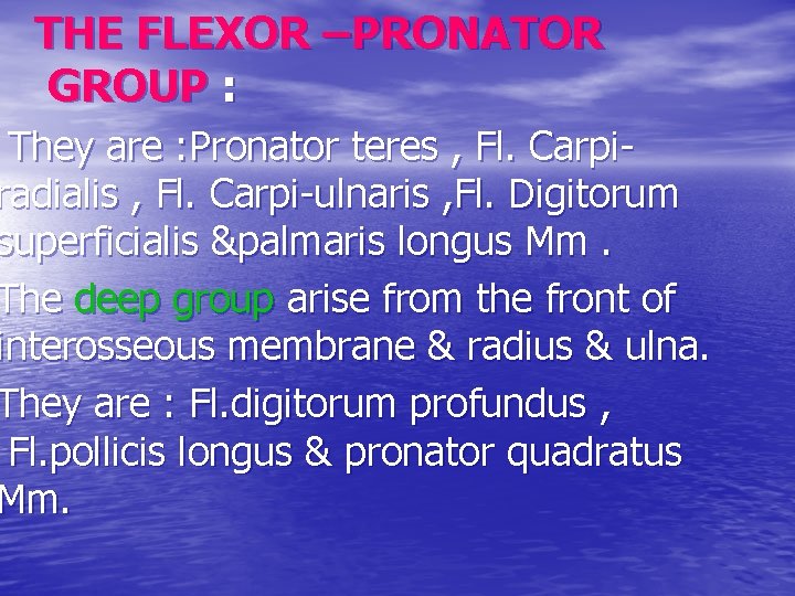 THE FLEXOR –PRONATOR GROUP : They are : Pronator teres , Fl. Carpiradialis ,