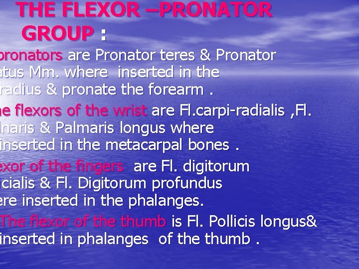 THE FLEXOR –PRONATOR GROUP : pronators are Pronator teres & Pronator atus Mm. where