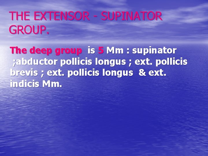 THE EXTENSOR - SUPINATOR GROUP. The deep group is 5 Mm : supinator ;