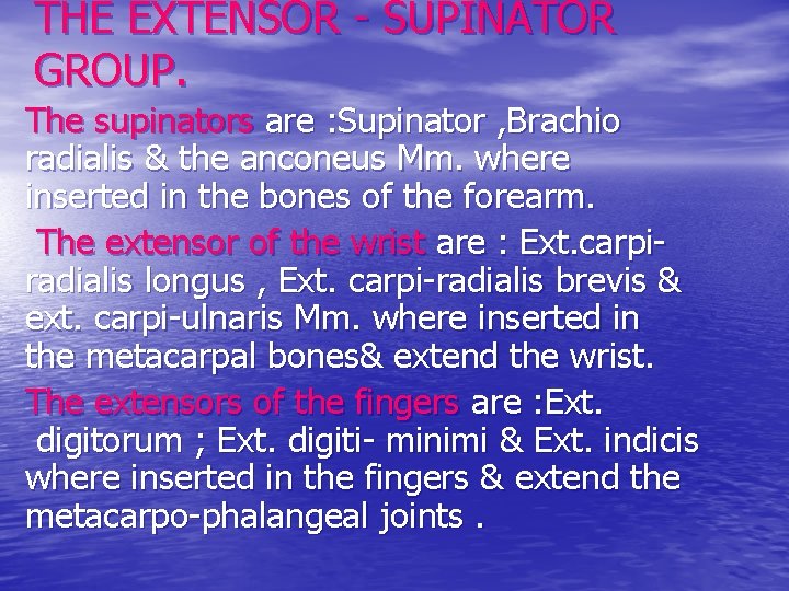 THE EXTENSOR - SUPINATOR GROUP. The supinators are : Supinator , Brachio radialis &