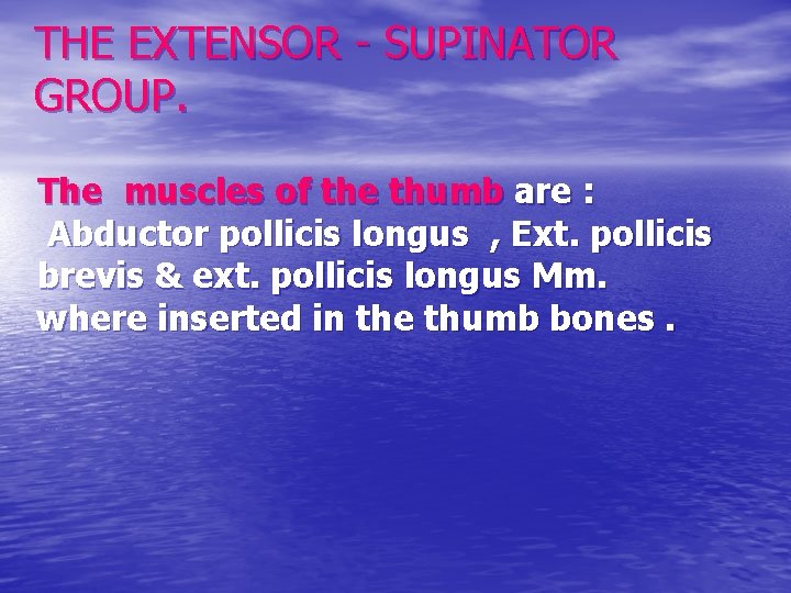 THE EXTENSOR - SUPINATOR GROUP. The muscles of the thumb are : Abductor pollicis