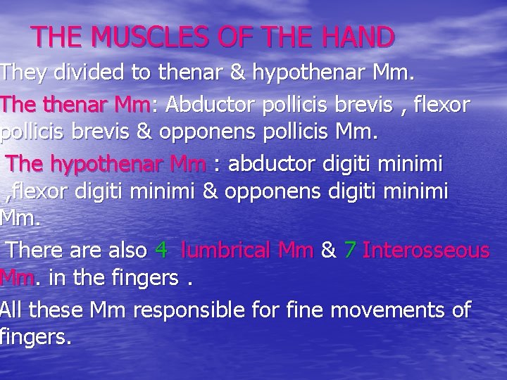 THE MUSCLES OF THE HAND They divided to thenar & hypothenar Mm. The thenar
