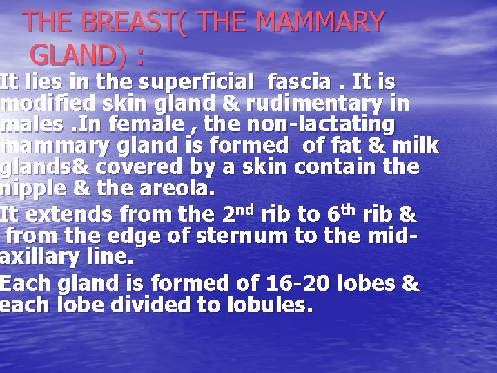 THE BREAST( THE MAMMARY GLAND) : It lies in the superficial fascia. It is