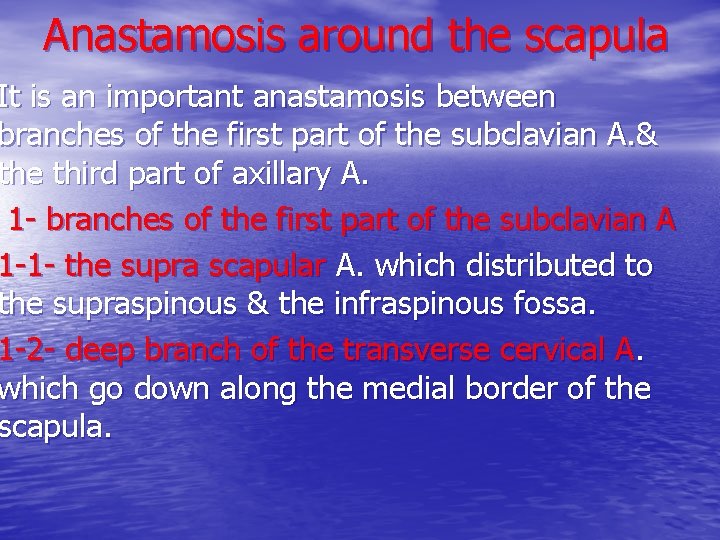 Anastamosis around the scapula It is an important anastamosis between branches of the first