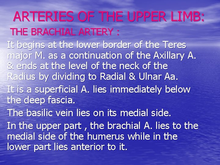 ARTERIES OF THE UPPER LIMB: THE BRACHIAL ARTERY : It begins at the lower