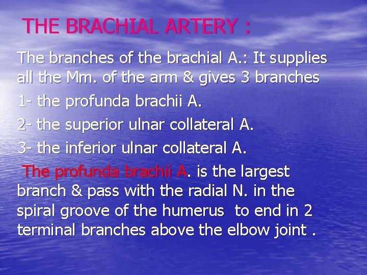 THE BRACHIAL ARTERY : The branches of the brachial A. : It supplies all