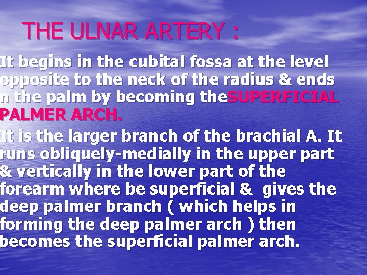 THE ULNAR ARTERY : It begins in the cubital fossa at the level opposite