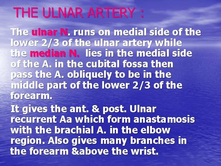 THE ULNAR ARTERY : The ulnar N. runs on medial side of the lower