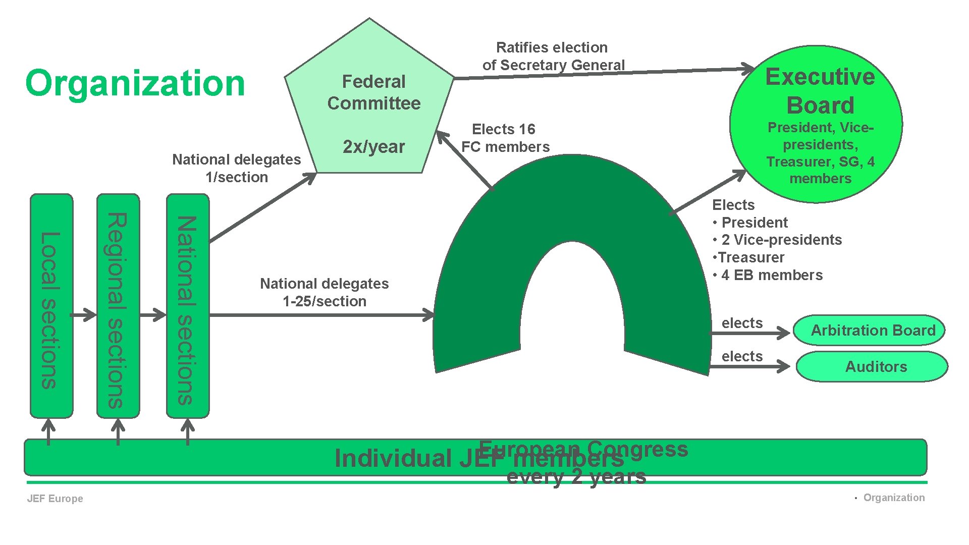 Organization Federal Committee National delegates 1/section 2 x/year Ratifies election of Secretary General Executive