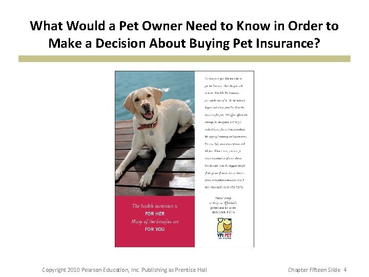 What Would a Pet Owner Need to Know in Order to Make a Decision