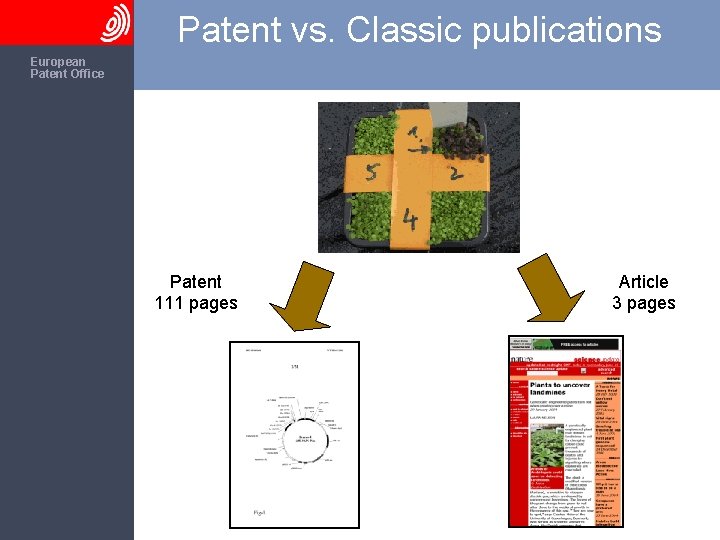 Patent vs. Classic publications The European Patent Office Patent 111 pages Article 3 pages
