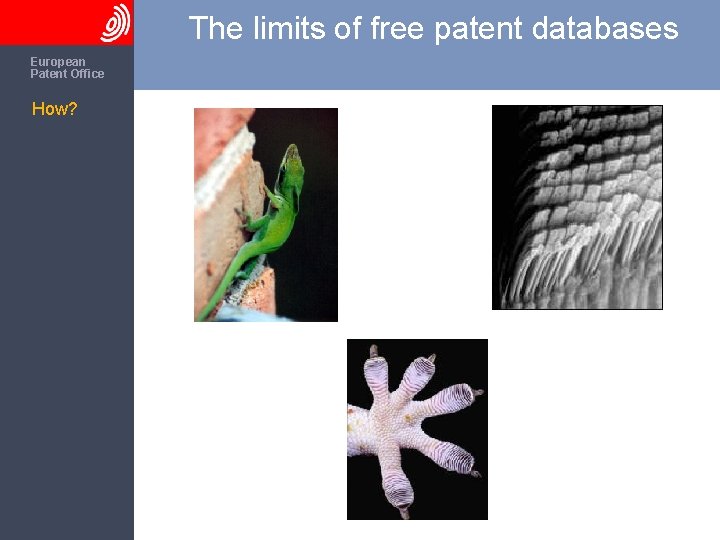 The limits of free patent databases The European Patent Office How? 