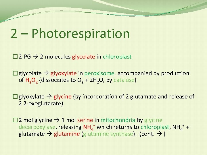 2 – Photorespiration � 2 -PG 2 molecules glycolate in chloroplast �glycolate glyoxylate in